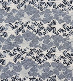 Le coton Fabirc en nylon (FNC) de Fabirc de dentelle tient le premier rôle la largeur 1.5m pour la robe fournisseur